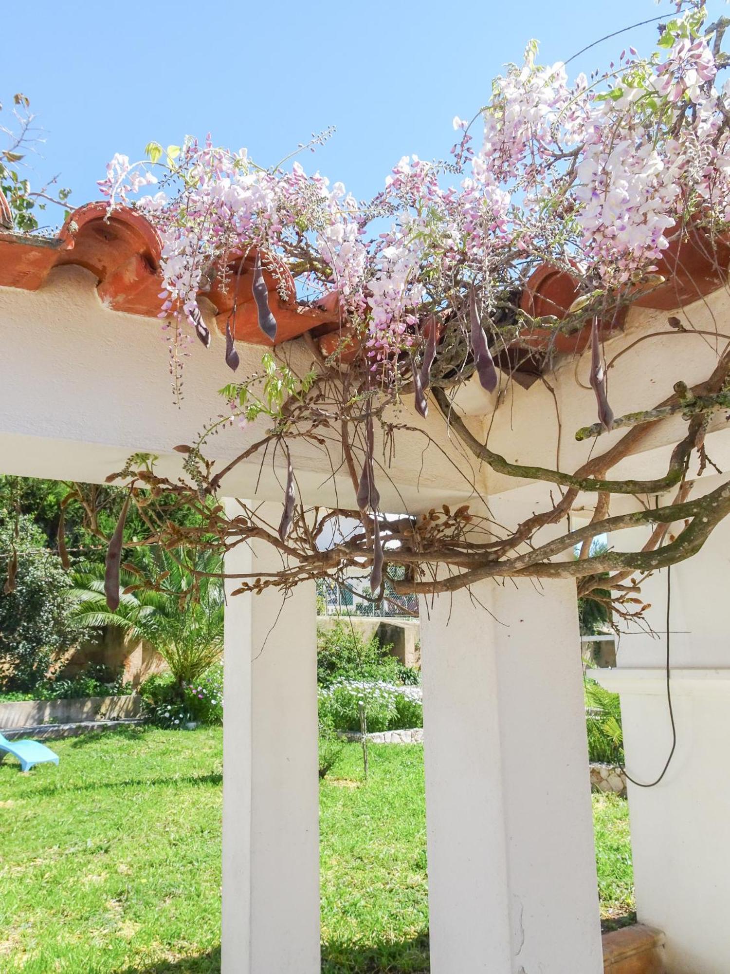 Quinta De Lagos Exterior foto